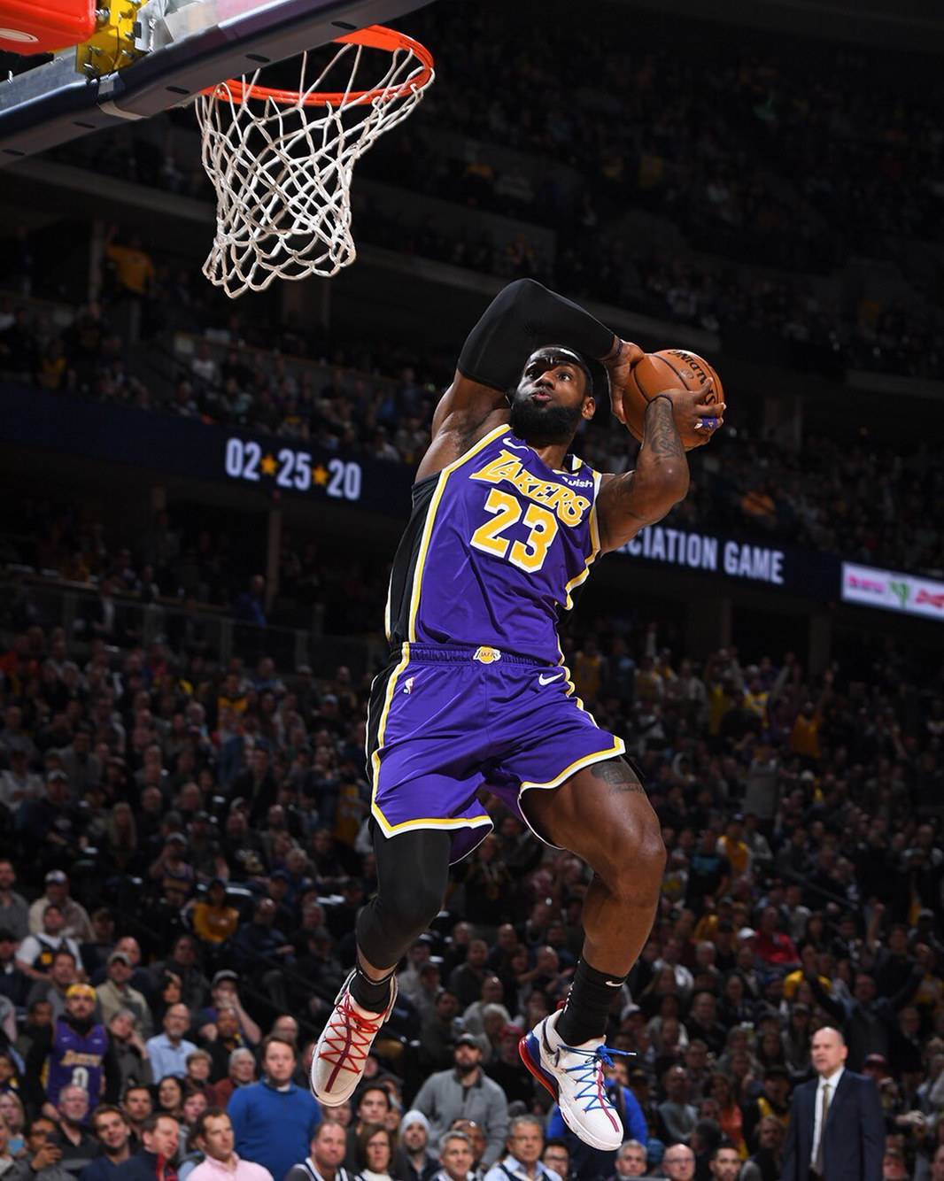 养宠物不仅 养宠物不仅